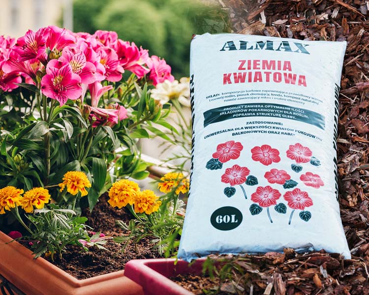 Ziemia Kwiatowa ALMAX