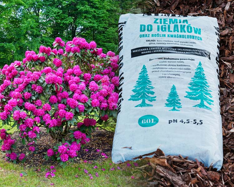 Ziemia do Iglaków ALMAX