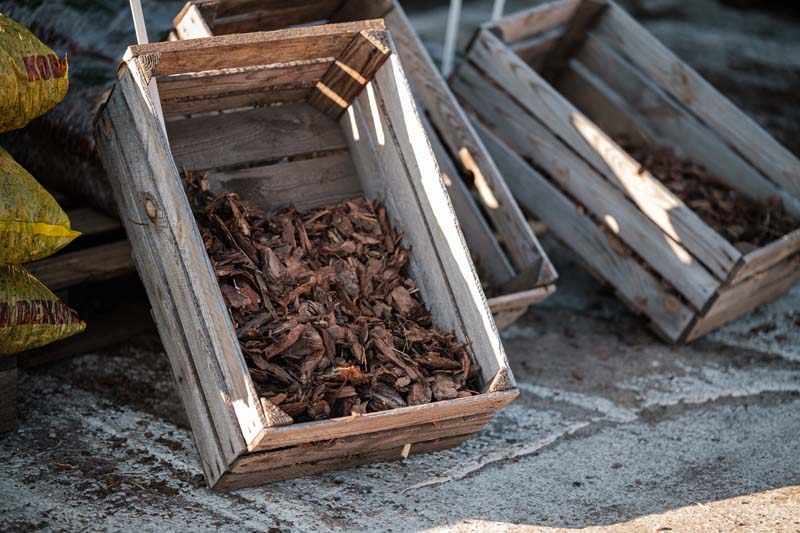 Kora Ziemia Torf ALMAX Powała