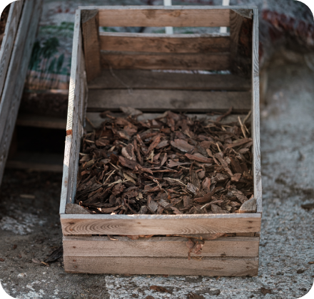 Kora do ogrodu Wołomin