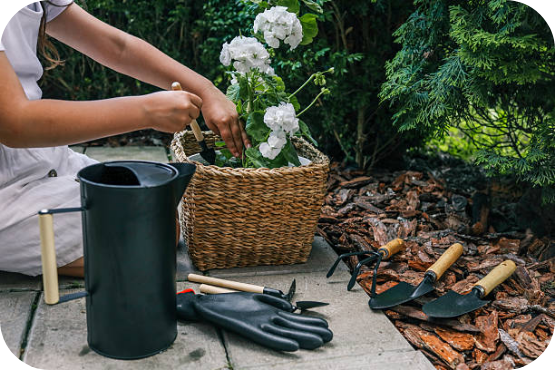 Nawóz do ogrodu Wołomin